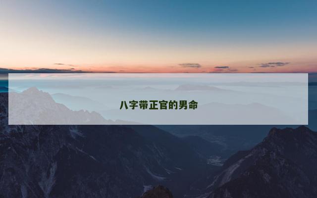 八字带正官的男命