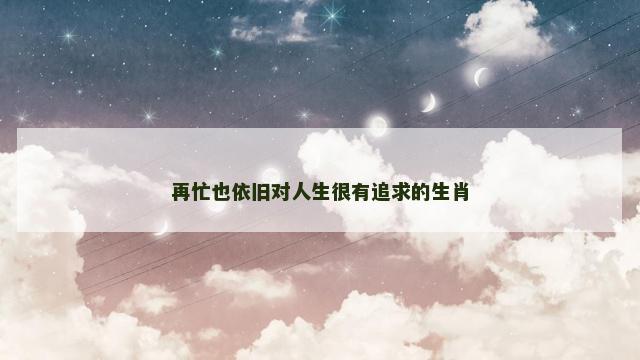 再忙也依旧对人生很有追求的生肖
