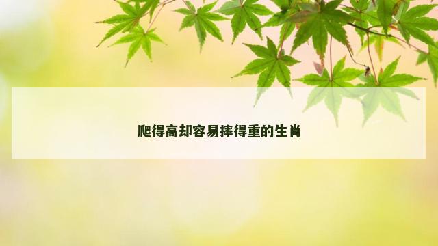 爬得高却容易摔得重的生肖