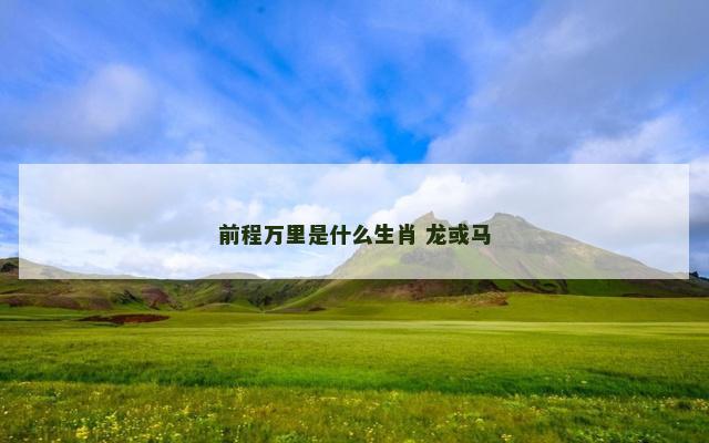 前程万里是什么生肖 龙或马