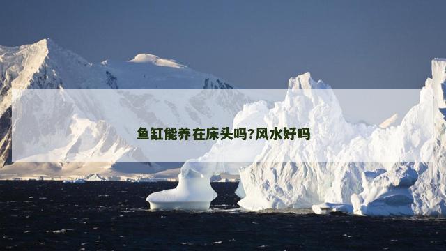 鱼缸能养在床头吗?风水好吗
