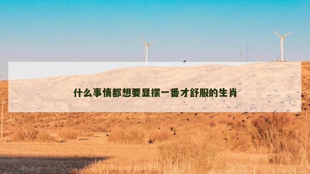 什么事情都想要显摆一番才舒服的生肖