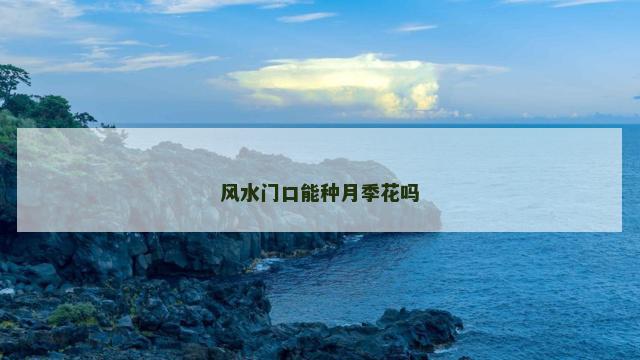 风水门口能种月季花吗