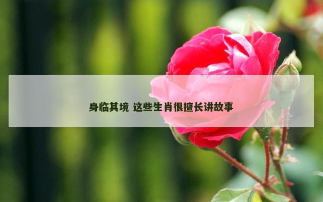 身临其境 这些生肖很擅长讲故事