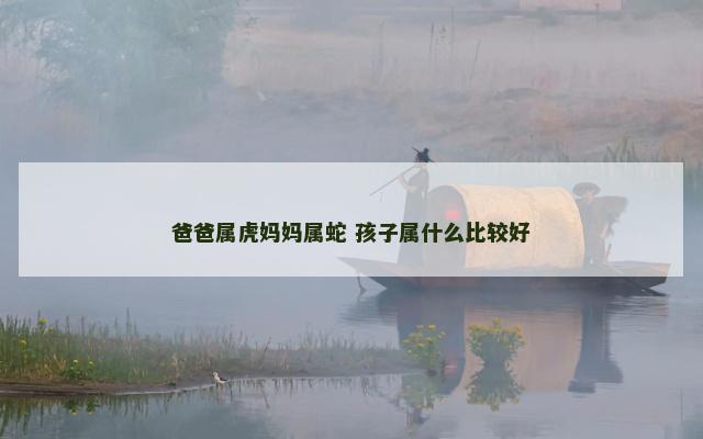 爸爸属虎妈妈属蛇 孩子属什么比较好