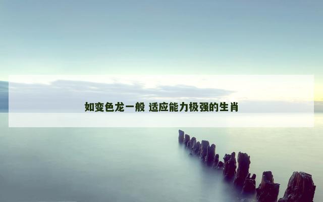 如变色龙一般 适应能力极强的生肖