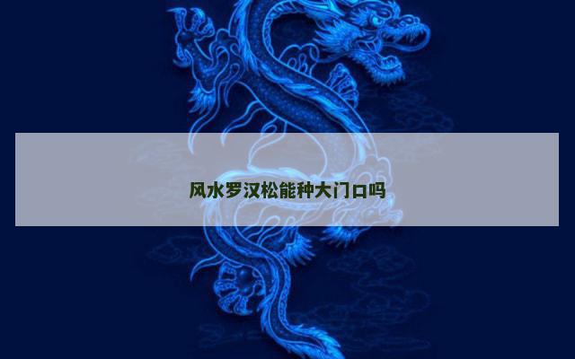 风水罗汉松能种大门口吗