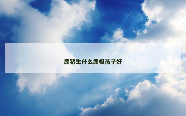 属猪生什么属相孩子好