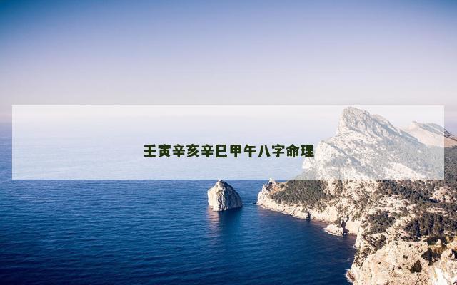 壬寅辛亥辛巳甲午八字命理