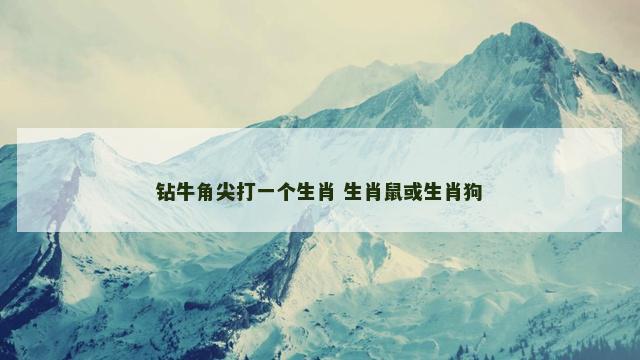 钻牛角尖打一个生肖 生肖鼠或生肖狗
