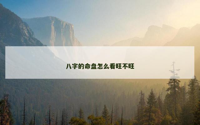 八字的命盘怎么看旺不旺