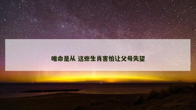 唯命是从 这些生肖害怕让父母失望
