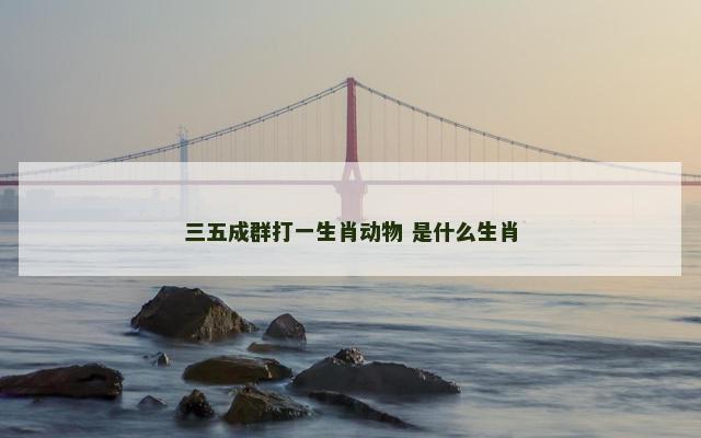 三五成群打一生肖动物 是什么生肖