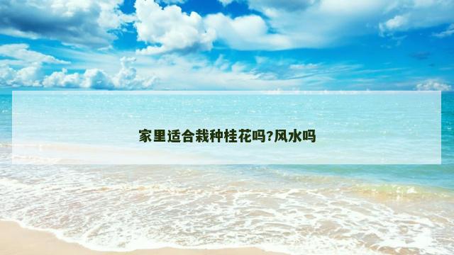家里适合栽种桂花吗?风水吗