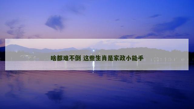 啥都难不倒 这些生肖是家政小能手