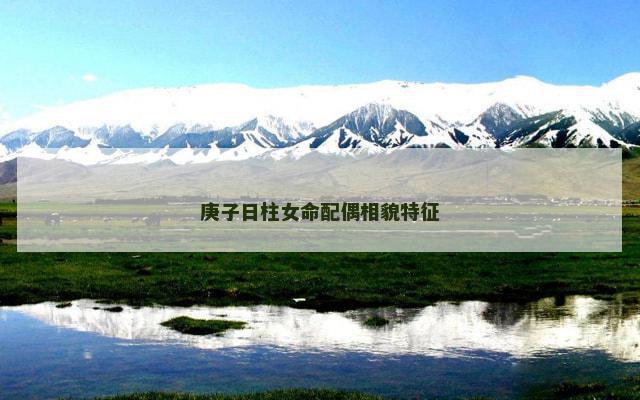 庚子日柱女命配偶相貌特征