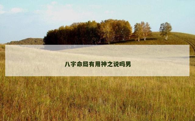 八字命局有用神之说吗男