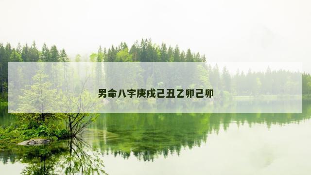 男命八字庚戌己丑乙卯己卯