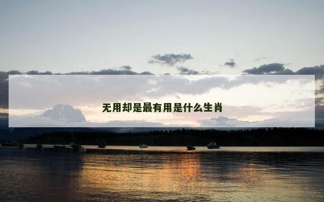 无用却是最有用是什么生肖