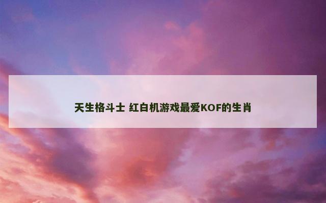 天生格斗士 红白机游戏最爱KOF的生肖