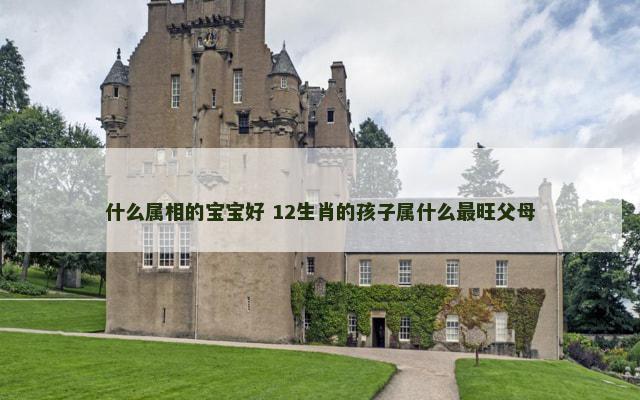 什么属相的宝宝好 12生肖的孩子属什么最旺父母