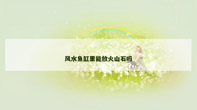 风水鱼缸里能放火山石吗