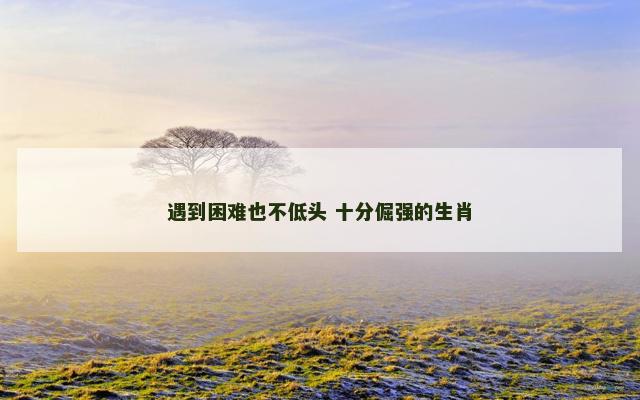 遇到困难也不低头 十分倔强的生肖