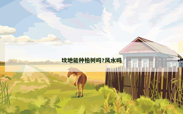 坟地能种柏树吗?风水吗