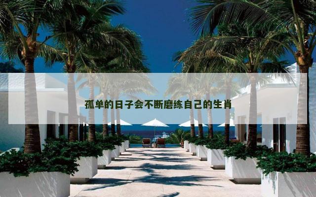 孤单的日子会不断磨练自己的生肖