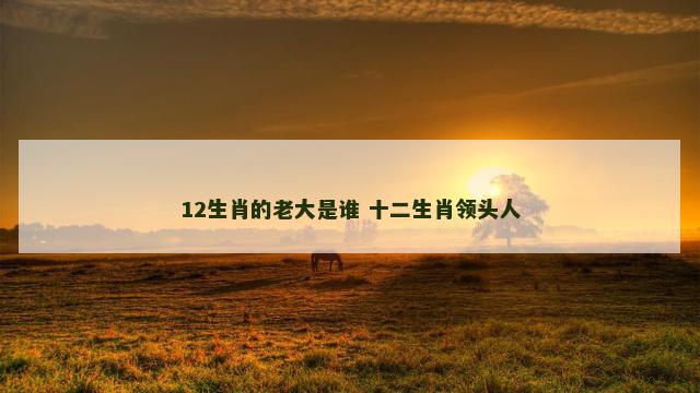 12生肖的老大是谁 十二生肖领头人