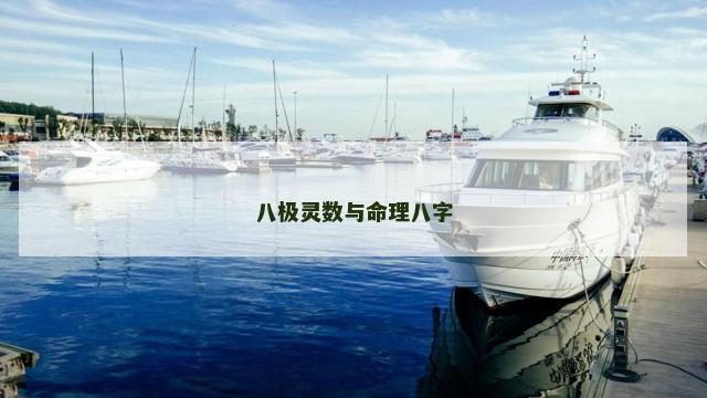 八极灵数与命理八字
