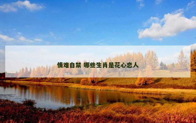情难自禁 哪些生肖是花心恋人