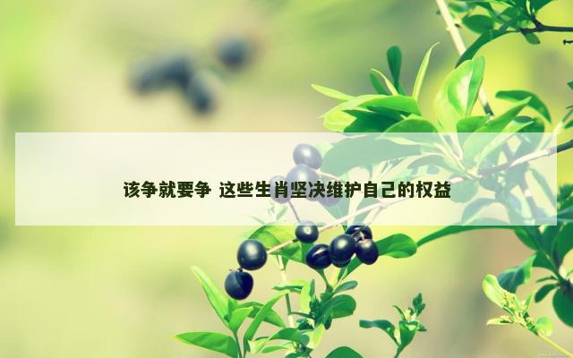 该争就要争 这些生肖坚决维护自己的权益