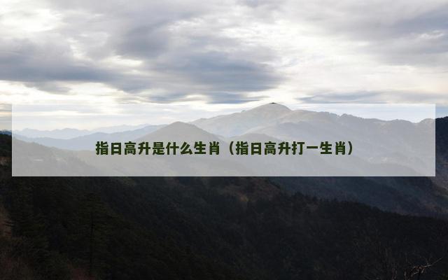 指日高升是什么生肖（指日高升打一生肖）