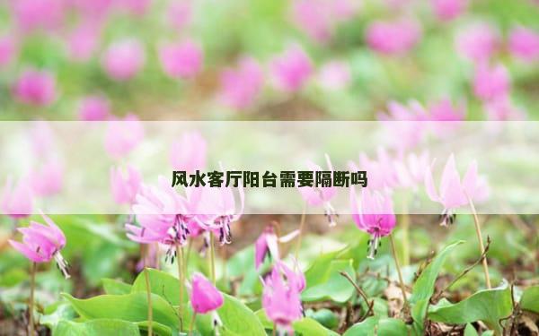 风水客厅阳台需要隔断吗