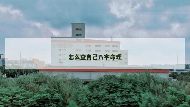 怎么查自己八字命理