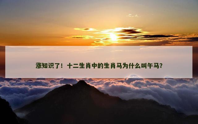 涨知识了！十二生肖中的生肖马为什么叫午马？