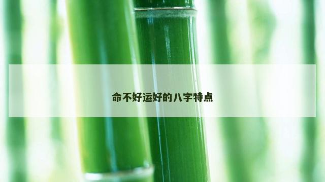 命不好运好的八字特点