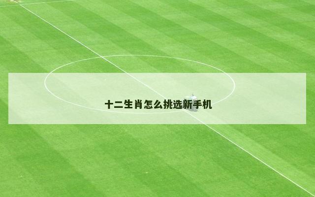 十二生肖怎么挑选新手机