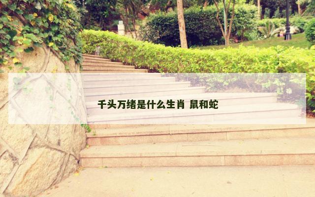 千头万绪是什么生肖 鼠和蛇