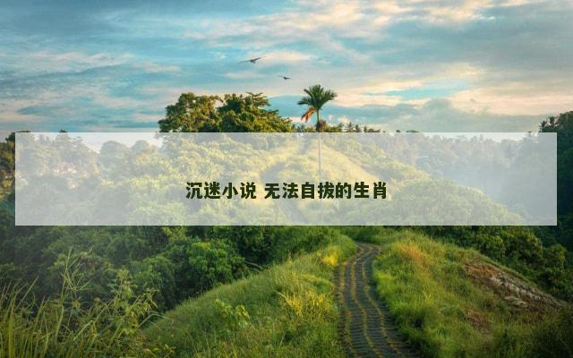沉迷小说 无法自拔的生肖