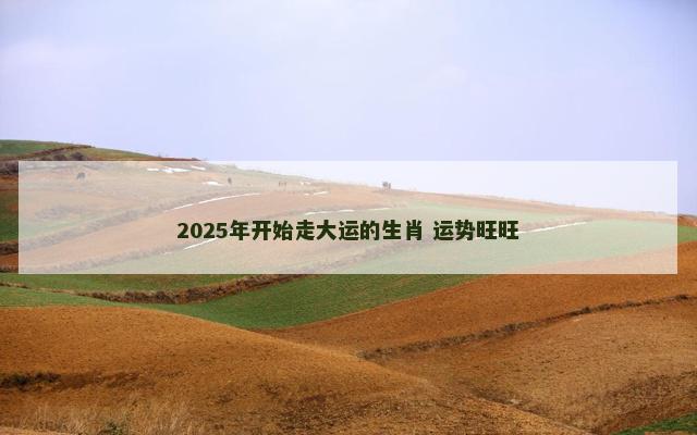 2025年开始走大运的生肖 运势旺旺