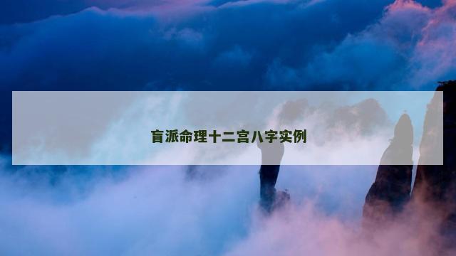 盲派命理十二宫八字实例