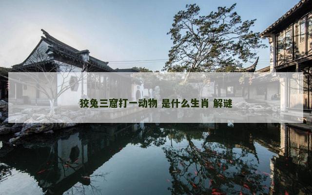 狡兔三窟打一动物 是什么生肖 解谜
