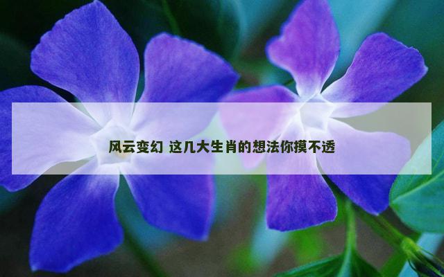 风云变幻 这几大生肖的想法你摸不透