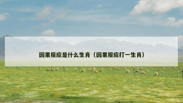 因果报应是什么生肖（因果报应打一生肖）