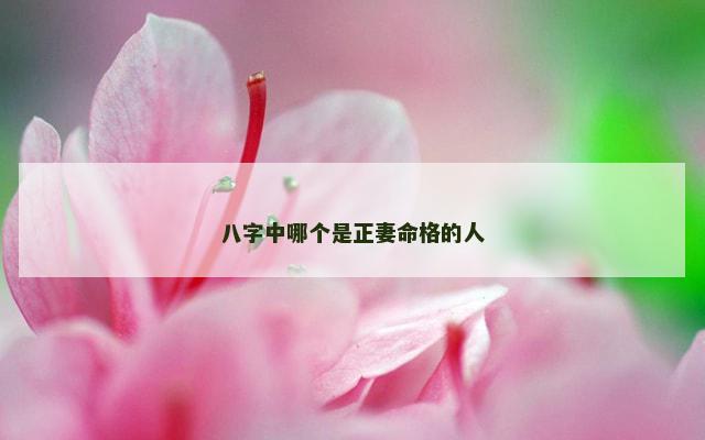 八字中哪个是正妻命格的人