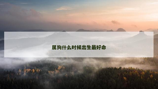 属狗什么时候出生最好命