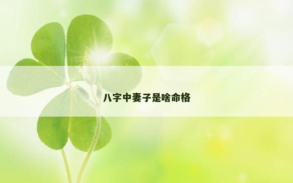 八字中妻子是啥命格