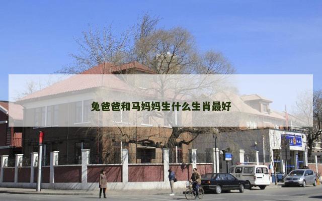 兔爸爸和马妈妈生什么生肖最好